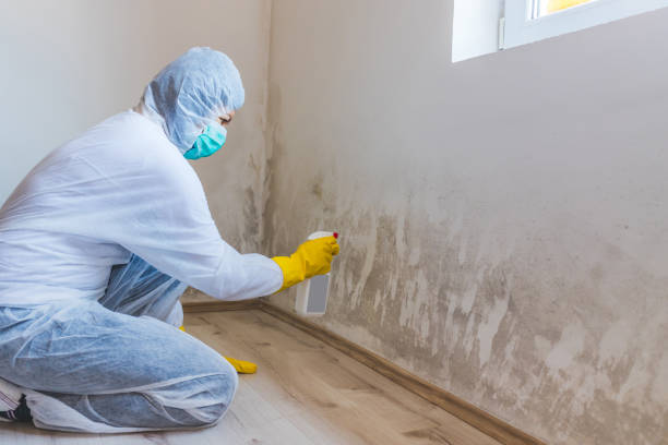 Licensed Commercial Mold Remediation service in East Brunswick, NJ - 24 Hour Mold Removal