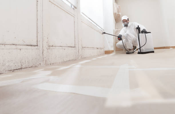 24/7 Emergency Commercial Mold Remediation experts in East Brunswick, NJ