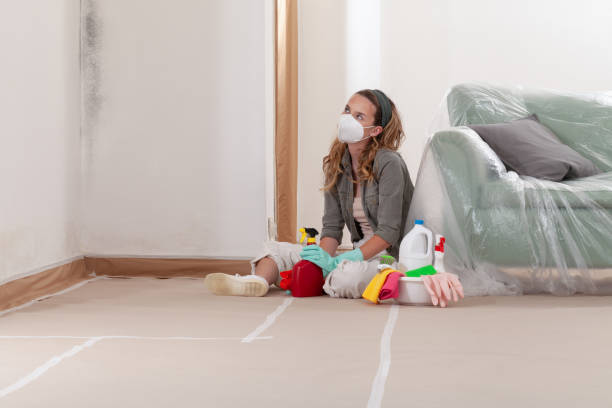 Reliable Commercial Mold Remediation contractor in East Brunswick, NJ by 24 Hour Mold Removal